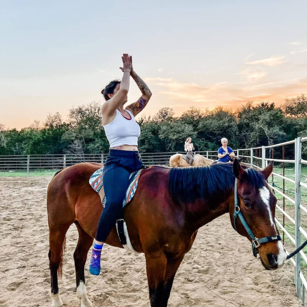 Equine Assisted Services Workshop