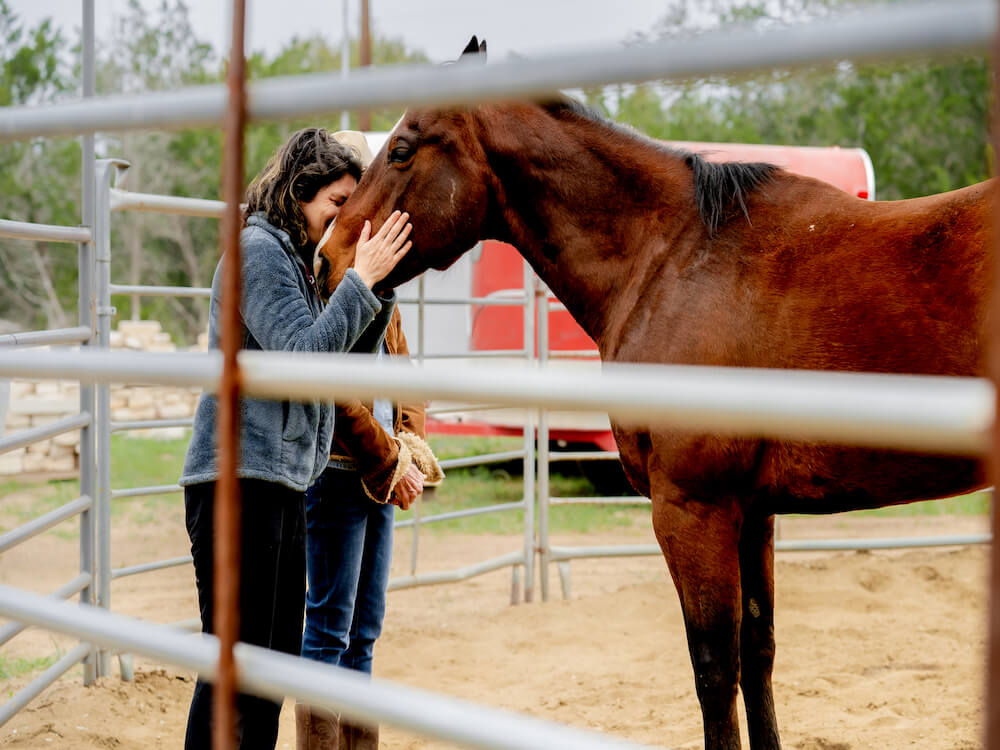 Equine Assisted Services Workshop