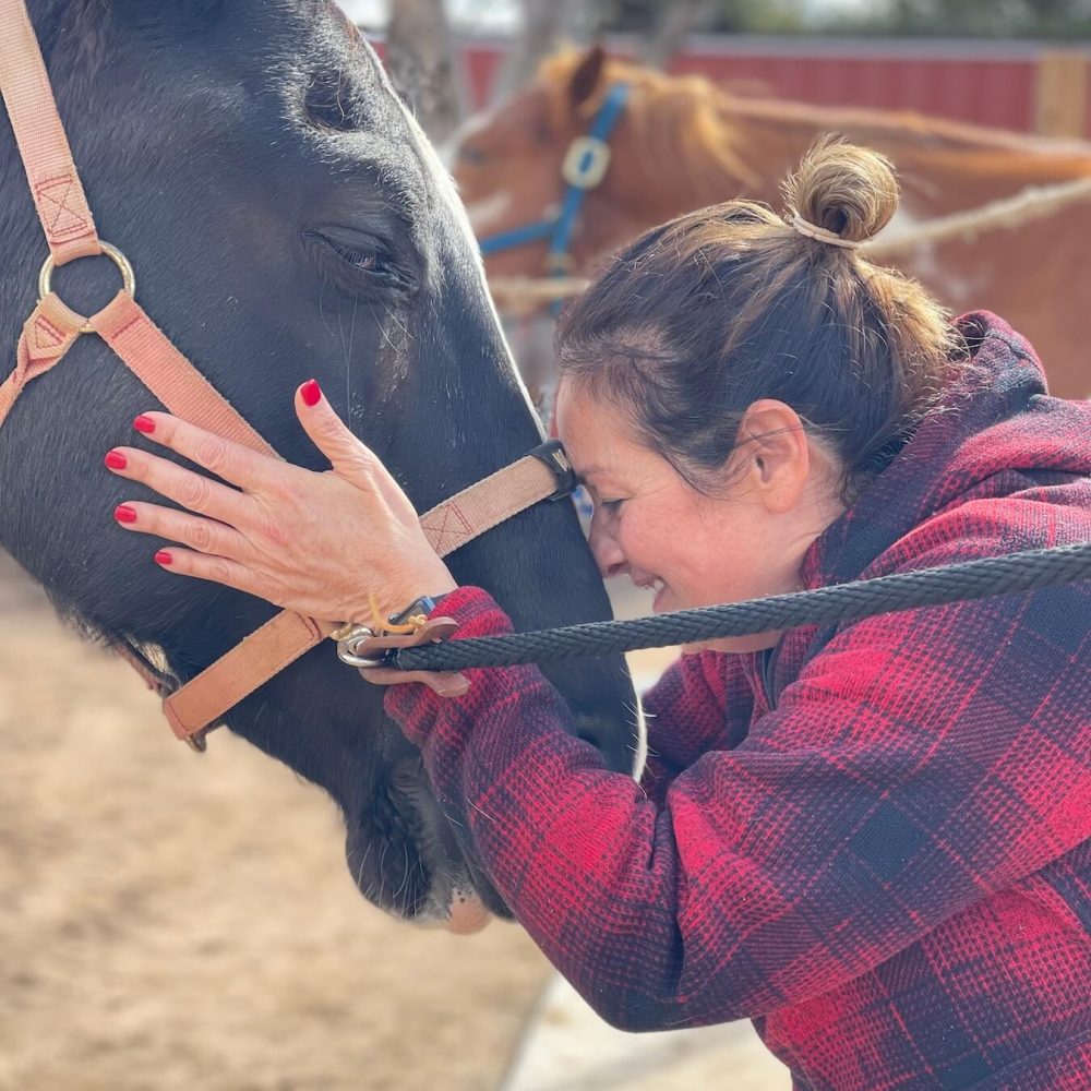 Equine Assisted Services Workshop