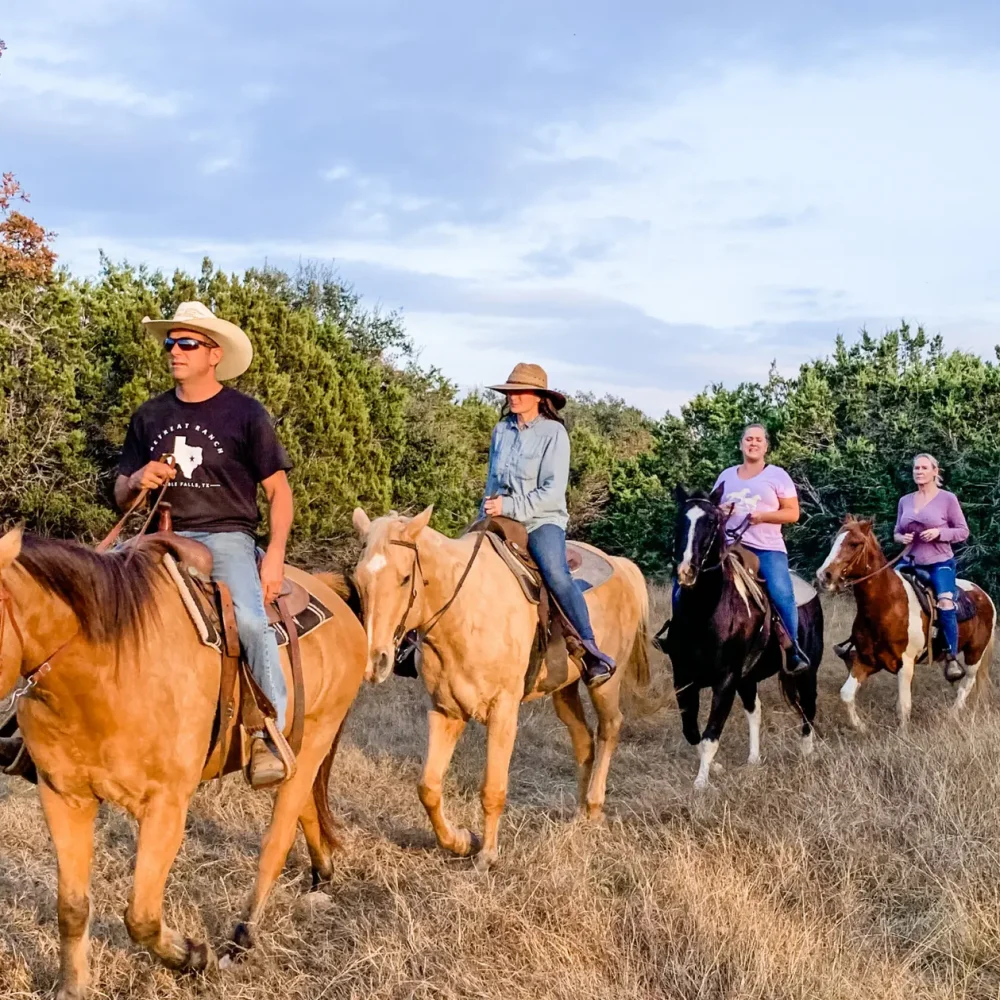 horses grouop