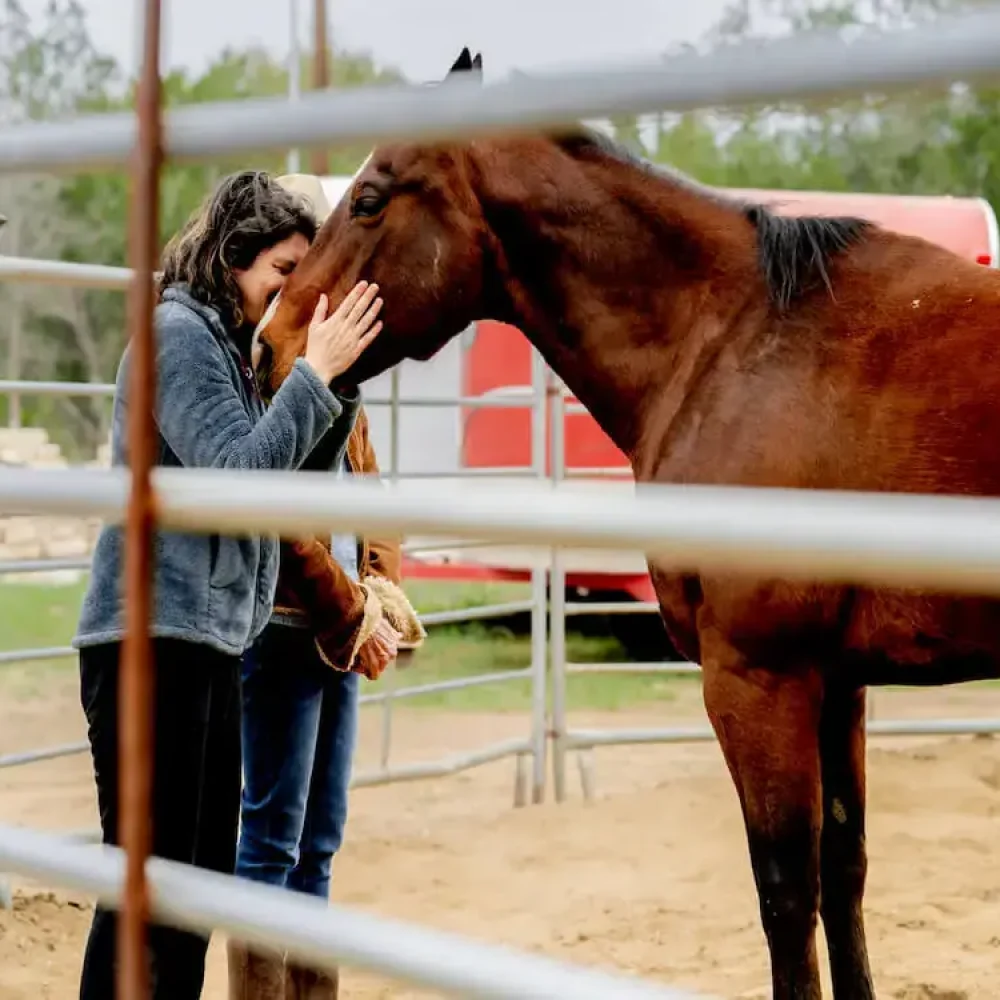 Equine Assisted Services Workshop