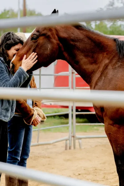 Equine Yoga Experiences